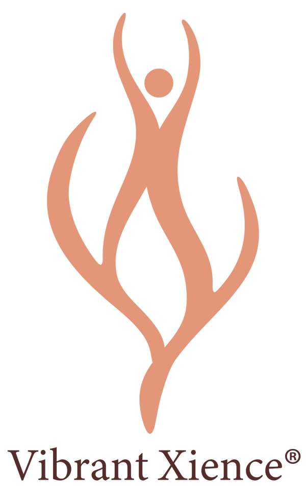 Vibrant Xience Store logo